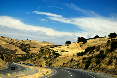 Tree Valley Road California desert on a background of blue sky.