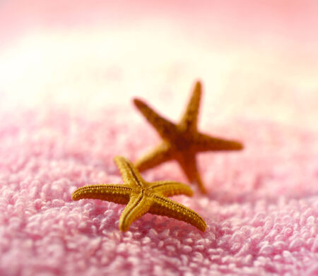 Spa salon towel shell aromatherapy treatment relaxation.の写真素材