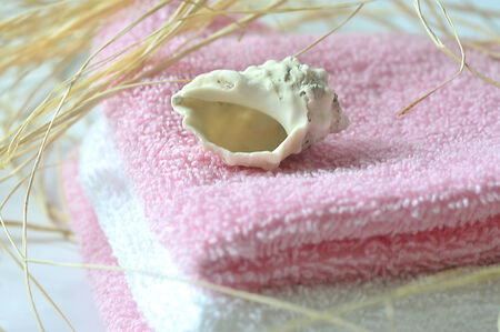 Spa salon towel shell aromatherapy treatment relaxation.の写真素材