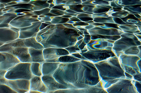 Swimming pool with blue clear cool water.