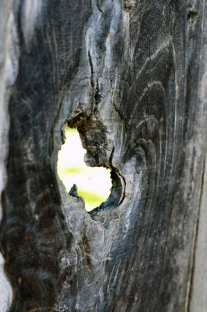 Wooden background beautiful brown vintage for design surface.の写真素材