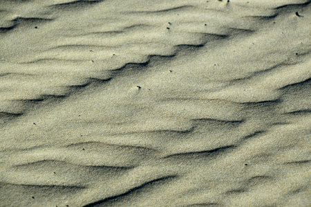 Sand ocean beach warm soft yellow white gentle.