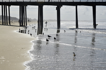 Pismo Beach Pier large wooden oceanfront in California.の写真素材
