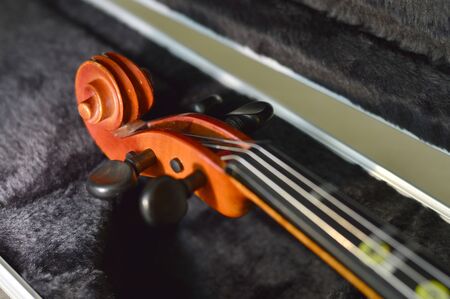 Violin music wooden instrument with metal strings.の写真素材