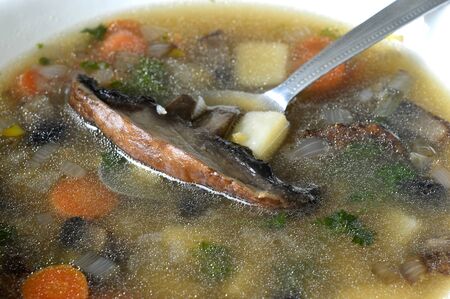 Portobello mushroom soup in a white enamel bowlの写真素材