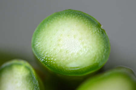 Juicy green fresh asparagus ready for cookingの写真素材