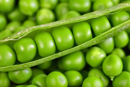 Sweet peas delicious fresh crunchy green vegetableの写真素材