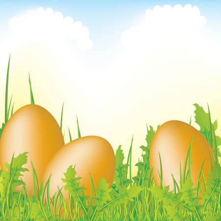Easter eggs in the grass, illustrated のイラスト素材