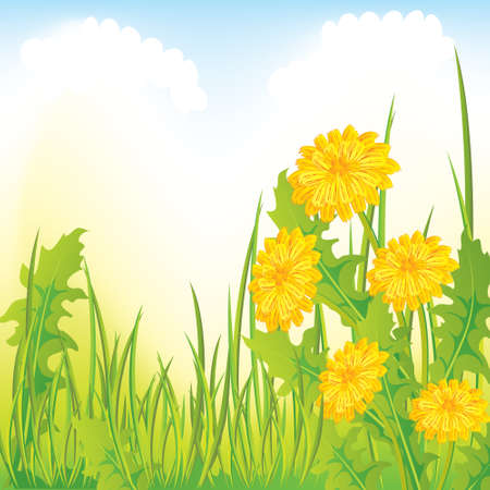 Dandelion meadow, illustrated のイラスト素材