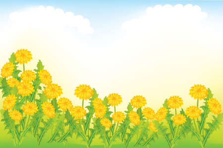 Dandelion field のイラスト素材