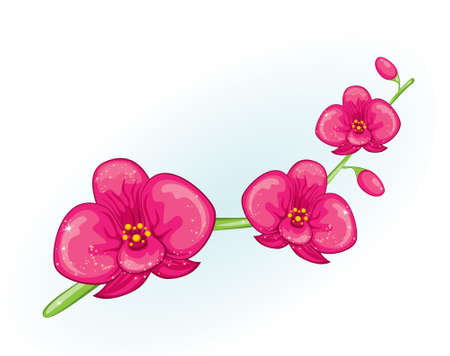 Pink orchid branchのイラスト素材