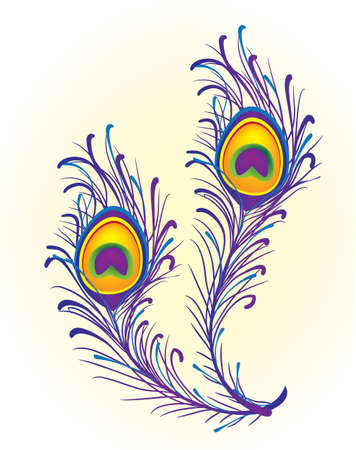 Peacock featherのイラスト素材