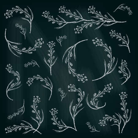 Spring floral illustrated graphic set for your designのイラスト素材