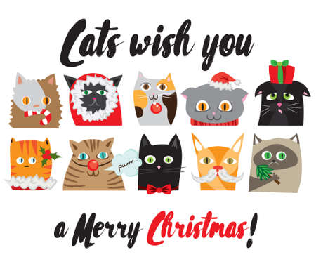 Set of illustrated cartoon Christmas cats portraits Cute animal characters New Year postcardのイラスト素材