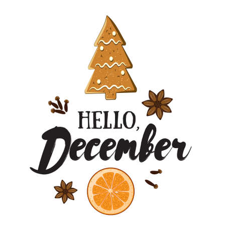 Hello, December. Holiday greeting card with ginger bisquit, orange slice, spices and calligraphyelements. Handwritten modern lettering with cartoons background.のイラスト素材