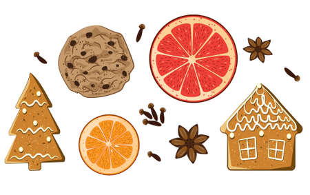 Christmas holiday sweets set. American cookie, figure gingerbread, grapefruit, carnation and anise star isolated on white background. Aromatic vector illustration. Xmas condiment collection.のイラスト素材