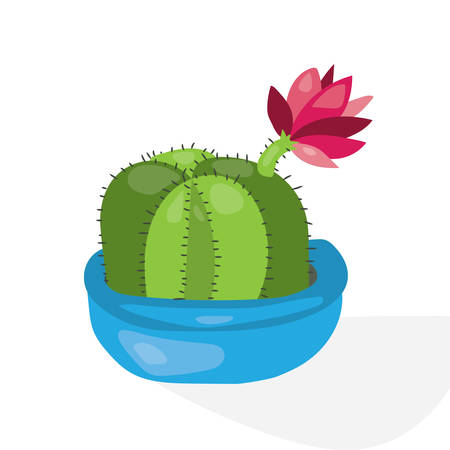 Cartoon cactus desert. Flat vector illustration. Green blooming cactus on white background. Decorative home plantのイラスト素材