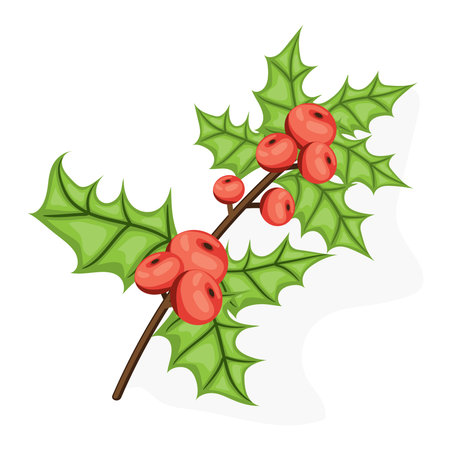 Holli berry - Christmas symbol. Flat vector illustration. Ref berries and green leaves isolated on white backgroundのイラスト素材