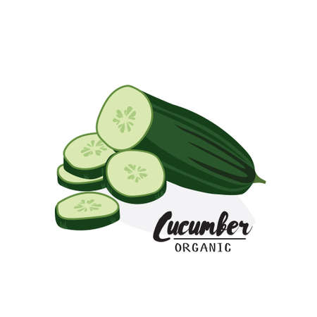 Cartoon  cucumber. Ripe green vegetable. Vegetarian delicious. Eco organic food.  Flat vector design, isolated on white background.のイラスト素材