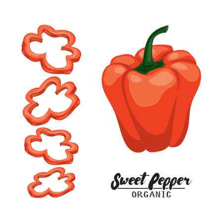 Cartoon sweet pepper. Ripe red vegetable. Vegetarian delicious. Eco organic food. Flat vector design, isolated on white background.のイラスト素材