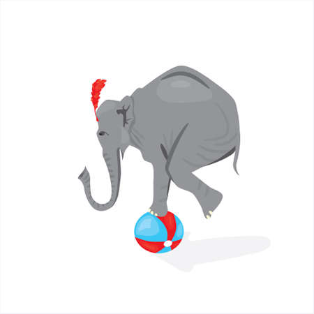 Vector illustrated circus elephant standing on the ballのイラスト素材