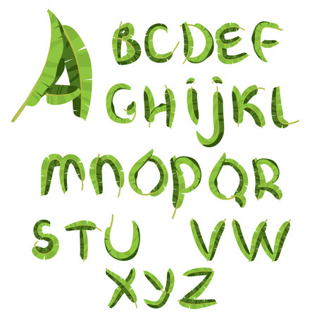 Tropical alphabet made of banana palm leaves. Hand drawn green paradice abc. Natural summer letters. Vector illustrated designのイラスト素材
