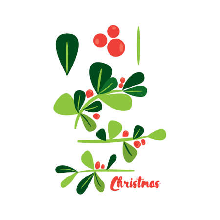 Holly berry Christmas simbol design elements collection. Flat vector illustrated decorative botanical brushes. Create your own designのイラスト素材