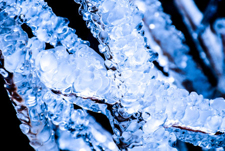 Dead plant covered with ice in blue