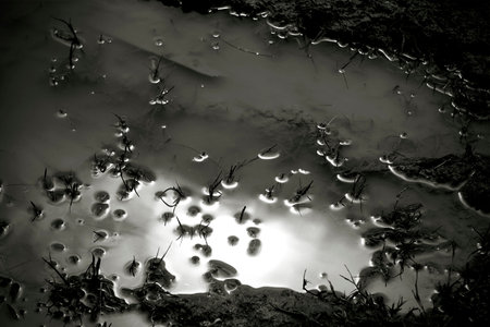 A puddle with sunlight reflection in a low key. Sun reflected on water surface.