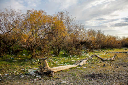 Autumn landscale with lots of garbage in nature.の写真素材