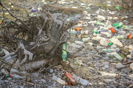 Rustavi, Georgia. December 11, 2021. Plastic bottles on a river bank.の写真素材
