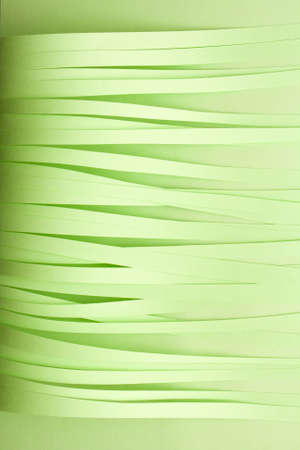 Light green cut paper strips background. Parallel green strips texture.の写真素材
