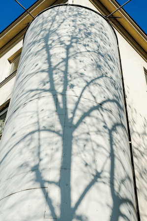 Shadow of a tree on the building.の写真素材