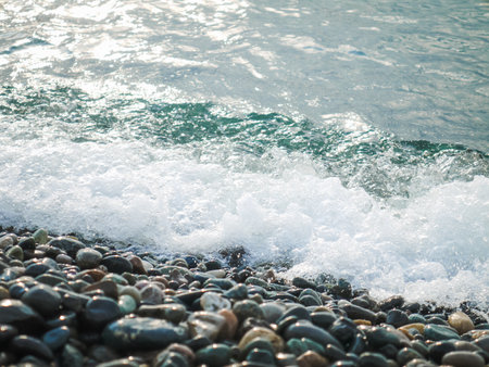 Close up view of a seashoreの写真素材