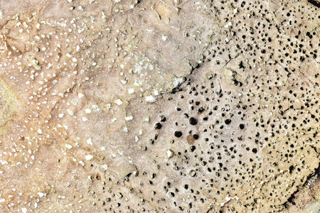 Natural stone surface close up view.の写真素材