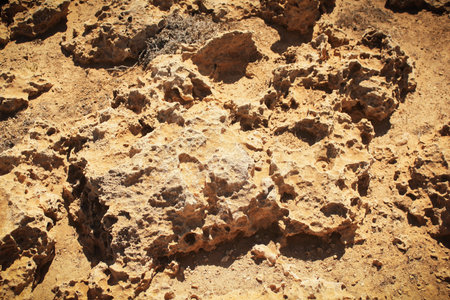 Close up view of corals in Ayia Napa.の写真素材