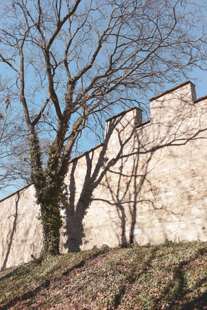 Ancient castle wall with tree shadowsの写真素材