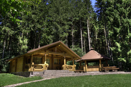 Log cabin with fireplaceのeditorial素材