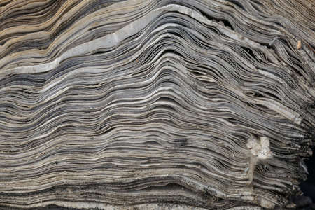old book pages  in an abandoned factoryの写真素材