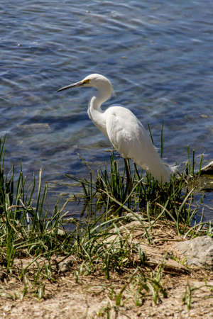 The Shoreの写真素材