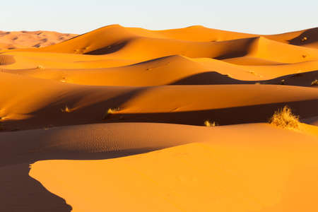 Sahara dunes in Merzouga, Africa, the grand Dune of Merzougaの写真素材
