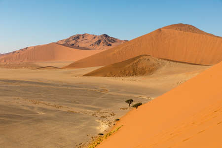 African landscape, beautiful red sand dunes called Dune 47 in the Namib Naukluft national park, Sossusvlei, Namibiaの写真素材