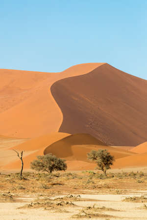 African landscape, beautiful red sand dunes called Dune 47 in the Namib Naukluft national park, Sossusvlei, Namibiaの写真素材