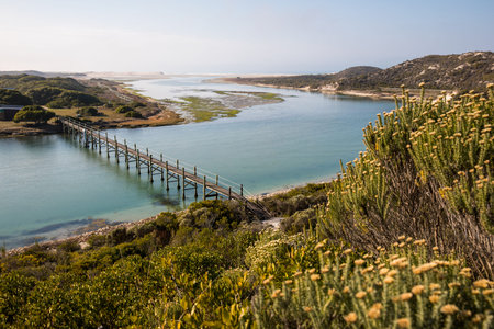 nature path with bridge and river in the De Mond coastal nature reserve, South Africa