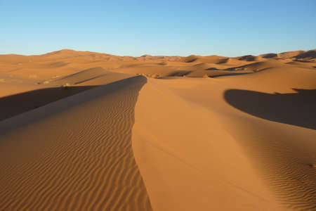 the big sand dunes of Erg Chebbi, Morocco, offer an amazing sight of waves and shapes and changing golden, red and orange colors during dusk and sunsetの写真素材