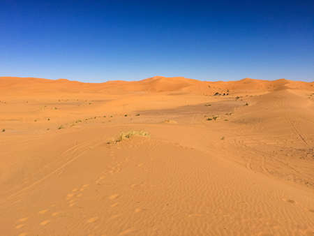 the big sand dunes of Erg Chebbi, Morocco, offer an amazing sight of waves and shapes and changing golden, red and orange colors during dusk and sunsetの写真素材