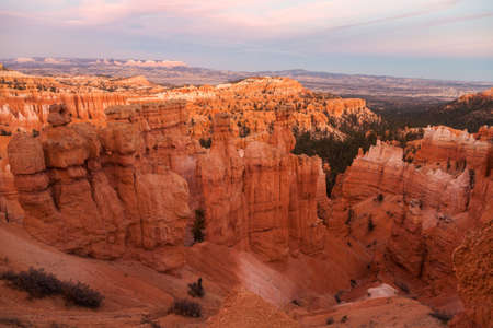 Great spires, also called hoodos, carved away by erosion in Bryce Canyon National Park, Utah, USA, glow in golden colors during sunset. The largest and most famous spire is called Thor's Hammer.の写真素材