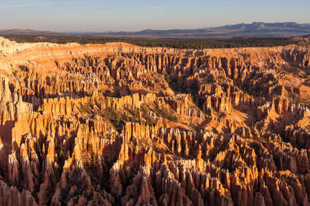 Great spires, also called hoodos, carved away by erosion in Bryce Canyon National Park, Utah, USA, shine red and orange during sunrise. The largest and most famous spire is called Thor's Hammer.の写真素材