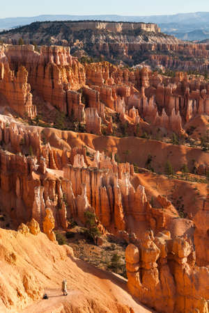 Great spires, also called hoodos, carved away by erosion in Bryce Canyon National Park, Utah, USA, shine red and orange during sunrise. The largest and most famous spire is called Thor's Hammer.の写真素材