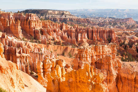 Great spires, also called hoodos, carved away by erosion in Bryce Canyon National Park, Utah, USA, shine red and orange during sunrise. The largest and most famous spire is called Thor's Hammer.の写真素材